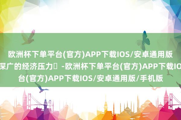 欧洲杯下单平台(官方)APP下载IOS/安卓通用版/手机版导致向南面对深广的经济压力‌-欧洲杯下单平台(官方)APP下载IOS/安卓通用版/手机版