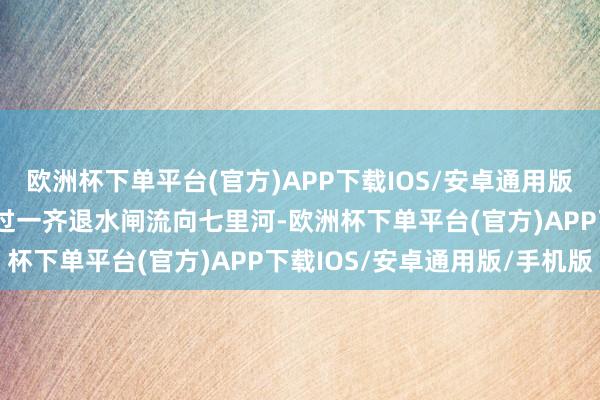 欧洲杯下单平台(官方)APP下载IOS/安卓通用版/手机版浩浩“南水”通过一齐退水闸流向七里河-欧洲杯下单平台(官方)APP下载IOS/安卓通用版/手机版