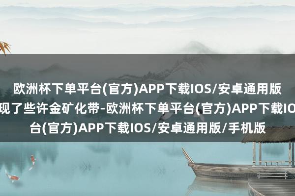 欧洲杯下单平台(官方)APP下载IOS/安卓通用版/手机版山南勘查区发现了些许金矿化带-欧洲杯下单平台(官方)APP下载IOS/安卓通用版/手机版
