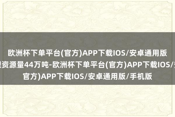 欧洲杯下单平台(官方)APP下载IOS/安卓通用版/手机版新增氧化锂资源量44万吨-欧洲杯下单平台(官方)APP下载IOS/安卓通用版/手机版