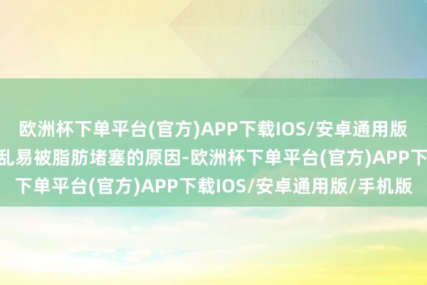 欧洲杯下单平台(官方)APP下载IOS/安卓通用版/手机版这即是血管壁淆乱易被脂肪堵塞的原因-欧洲杯下单平台(官方)APP下载IOS/安卓通用版/手机版