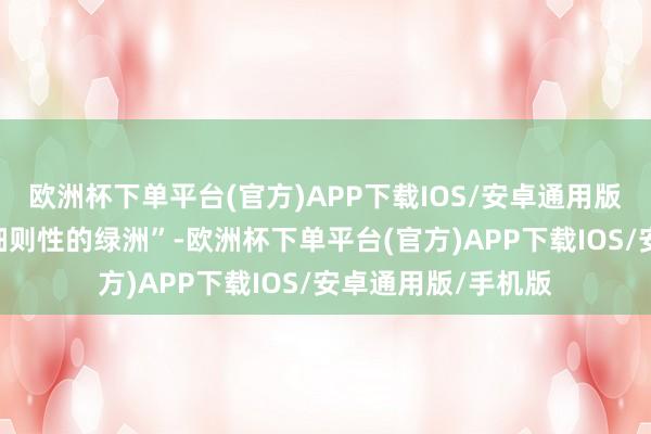 欧洲杯下单平台(官方)APP下载IOS/安卓通用版/手机版中国事“细则性的绿洲”-欧洲杯下单平台(官方)APP下载IOS/安卓通用版/手机版