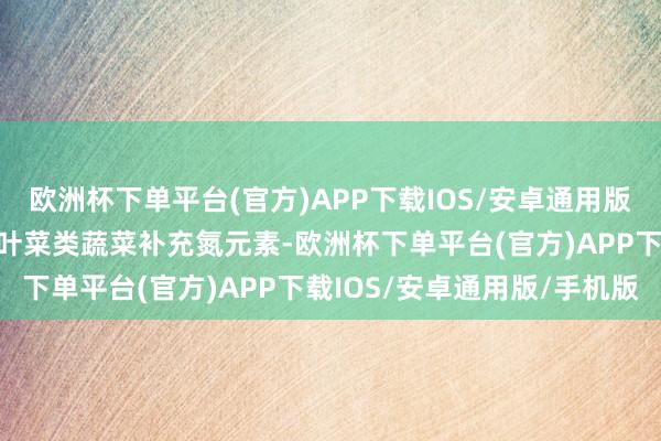 欧洲杯下单平台(官方)APP下载IOS/安卓通用版/手机版这种酵素不错为叶菜类蔬菜补充氮元素-欧洲杯下单平台(官方)APP下载IOS/安卓通用版/手机版