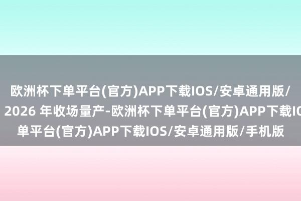 欧洲杯下单平台(官方)APP下载IOS/安卓通用版/手机版＂若小鹏汇天在 2026 年收场量产-欧洲杯下单平台(官方)APP下载IOS/安卓通用版/手机版