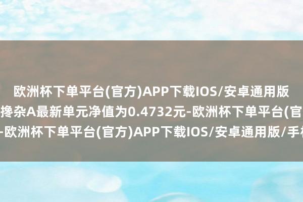 欧洲杯下单平台(官方)APP下载IOS/安卓通用版/手机版博时滥用变嫌搀杂A最新单元净值为0.4732元-欧洲杯下单平台(官方)APP下载IOS/安卓通用版/手机版