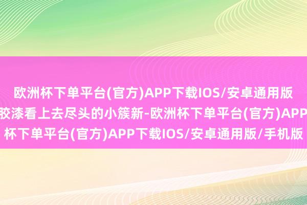 欧洲杯下单平台(官方)APP下载IOS/安卓通用版/手机版刷了浅绿色的乳胶漆看上去尽头的小簇新-欧洲杯下单平台(官方)APP下载IOS/安卓通用版/手机版
